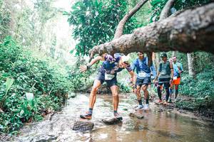 BIB: 
                            <button type="button" onclick="openModal(25372330)" class="btn btn-primary btn-sm float-right btn-popup" data-toggle="modal" data-target=".modal-high-quality">
                        <i class="fas fa-shopping-cart"></i> Add to Cart
                    </button>
                                            <button type="button" onclick="isThisMe(25372330, true)" class="btn btn-success btn-sm float-right btn-popup btn-isme hidden" data-toggle="tooltip" data-placement="bottom" title="นี่คือรูปของคุณใช่ไหม คลิกที่นี่เพื่อเอาเข้าอัลบั้ม">
                        <i class="fas fa-plus"></i> Add to album
                    </button>
                    <button type="button" onclick="isThisMe(25372330, false)" class="btn btn-warning btn-sm float-right btn-popup btn-isnotme hidden">
                        <i class="fas fa-ban"></i> Remove from album
                    </button>